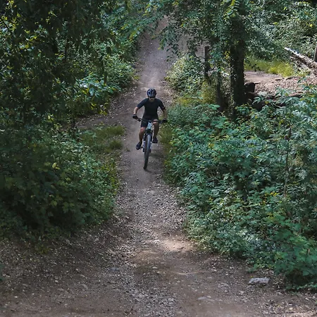 Del Riale 4* Parabiago